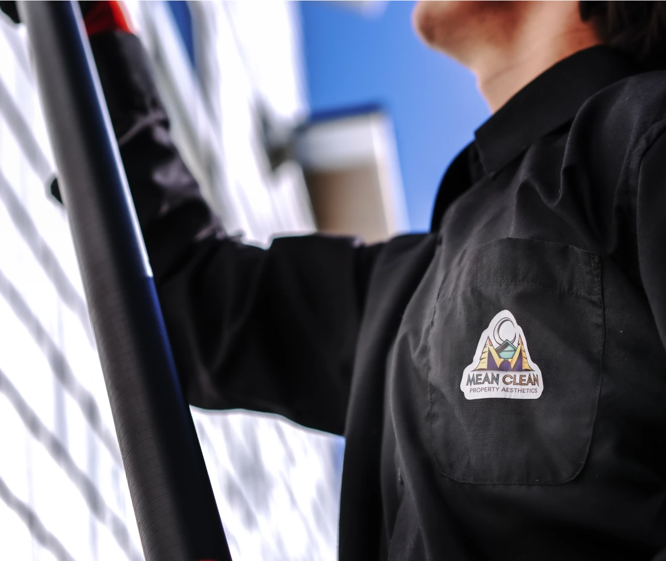 Roof Cleaning in Progress