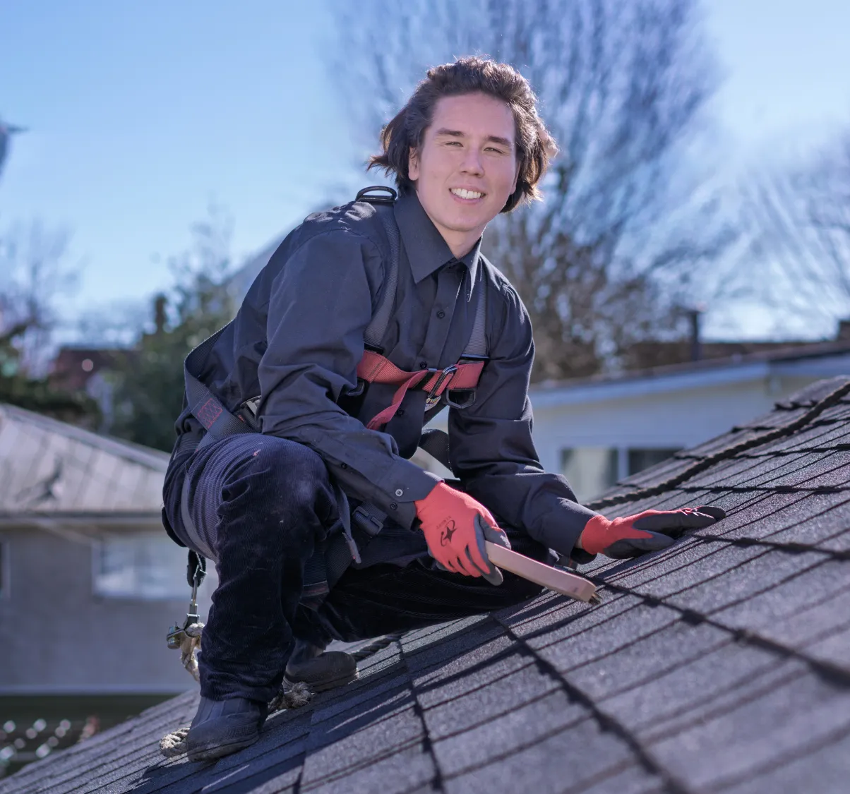 Roof Cleaning in Progress