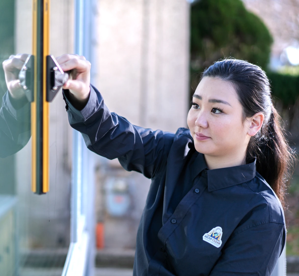 Roof Cleaning in Progress